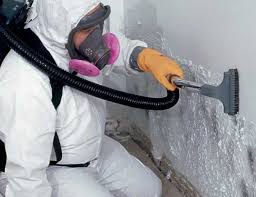 Forensic Mold Investigation in Frazier Park, CA